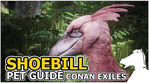 conan exiles shoebill.